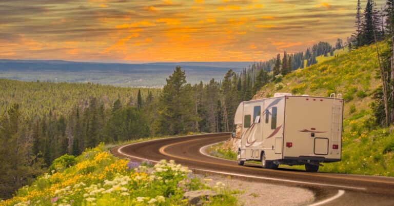 A motorhome drives along a winding mountain road at sunset, surrounded by green forests and yellow wildflowers.
